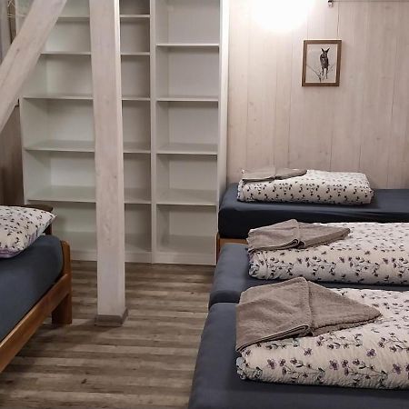 Ski Apartmany Nymburska Chata ペツ・ポト・スニェシュコウ エクステリア 写真